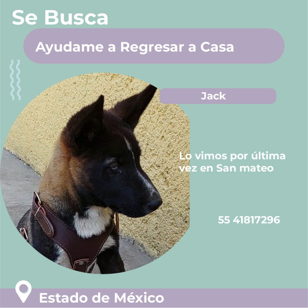 Perdidos-Jack_PERDIDOS_PERDIDOS